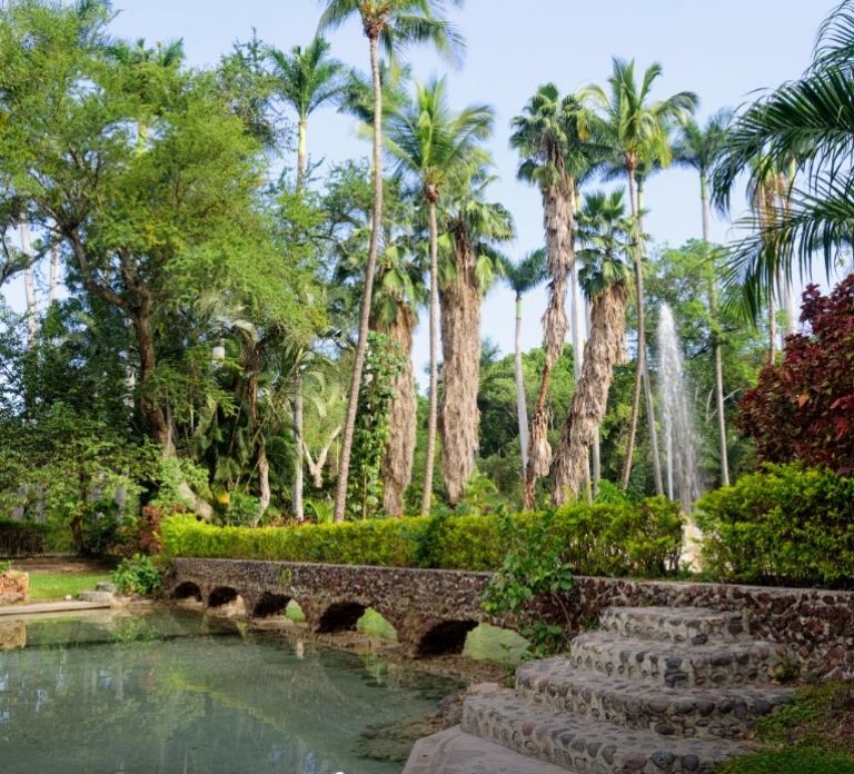 Las cascadas en Morelos que pocos conocen y son un paraíso escondido