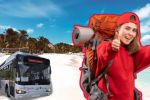 Foto ilustrativa de la nota titulada: Así puedes obtener 50% de descuento en el transporte estas vacaciones de invierno