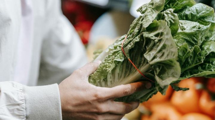 El TRUCO efectivo para desinfectar la lechuga que pocos conocen