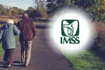 Pensión de Ascendiente IMSS: ¿Quién tiene derecho a la pensión por ascendencia? Estos son los requisitos