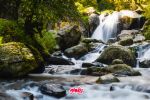 Foto ilustrativa de la nota titulada: Dónde ir: Parque Nacional Los Dinamos conoce la cascada más cercana a CDMX