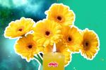Flores Amarillas: Ritual de expansión de amor y buena suerte para regalar el 21 de septiembre