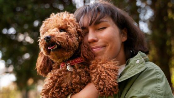 ¿Por qué tu perro te elige como su persona favorita? Conoce las razones de que tu lomito te escoja