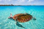 El Pueblo Mágico de Oaxaca con playas de aguas cristalinas ideal para practicar deportes acuáticos, tomar clases de surf y liberar tortugas marinas