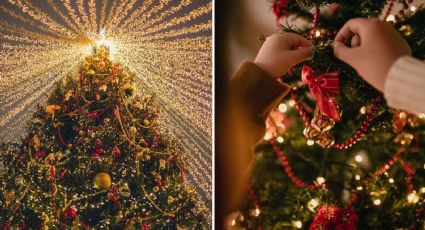 Árbol de Navidad: Tendencias y consejos para que te dure más