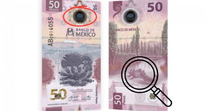 BIllete de 50 pesos: ¿Cómo saber si te dan un billete falso del ajolote?