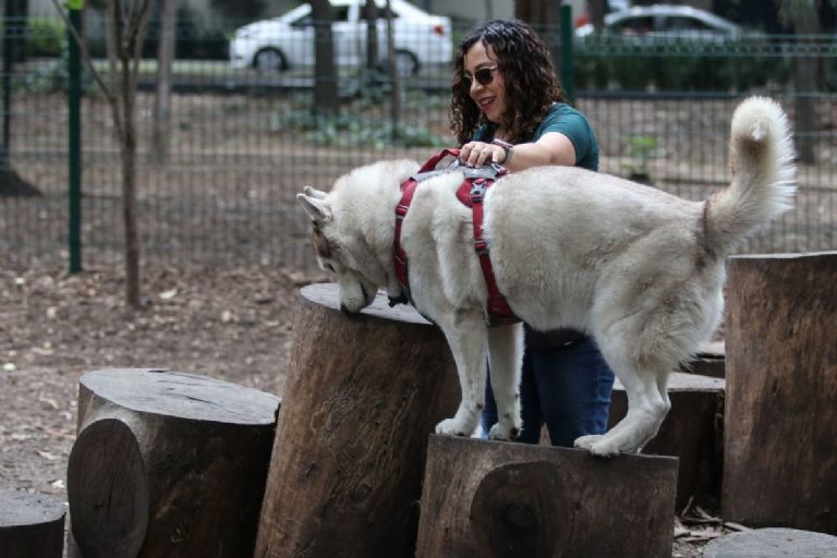 El Parque Canino Ghandi es el más bonito para que lleves a tu perro- Créditos: