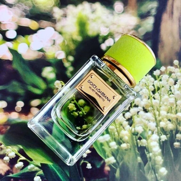 Velvet Mughetto de Dolce&Gabbana es el perfume de Acuario.