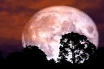 Luna del Cazador 2024: Estos serán los signos zodiacales más afectados