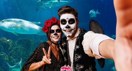 Noches de Leyendas en el Acuario Inbursa: Costos, fechas y horarios del evento de Día de Muertos