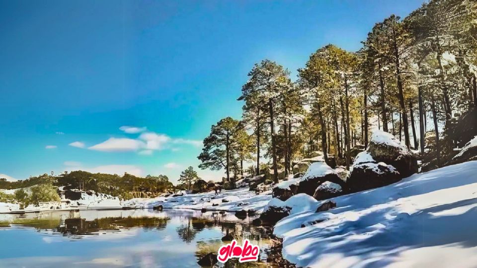 Chihuahua se cubre de blanco con la nieve.
