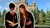 Foto ilustrativa de la nota titulada: Conoce el bosque de Guanajuato: Un paraíso natural al estilo de Harry Potter