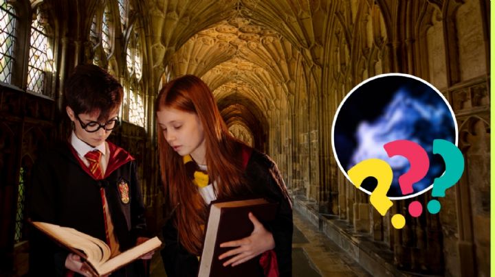 Serie de Harry Potter, este icónico personaje llega a la pantalla tras no aparecer en las películas