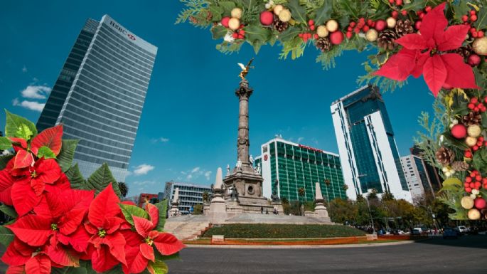 Festival Flores de Noche Buena: Una gran opción para recorrer en la CDMX | ¿Dónde y cuándo?