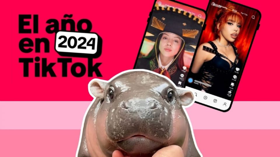 Los mejores creadores de contenido en TikTok 2024, de Doris Jocelyn a Mario Aguilar y el pequeño hipopótamo que conquistó la plataforma.
