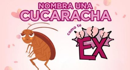 Zoológico permite bautizar una cucaracha con el nombre de tu ex durante el mes de San Valentín