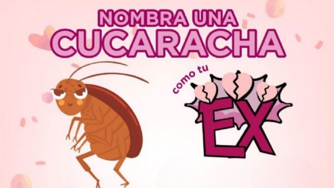 Zoológico permite bautizar una cucaracha con el nombre de tu ex durante el mes de San Valentín