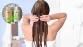 3 acondicionadores para un cabello saludable aprobados por especialistas