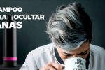 Foto ilustrativa de la nota titulada: El shampoo eficaz para ocultar canas sin usar tintes