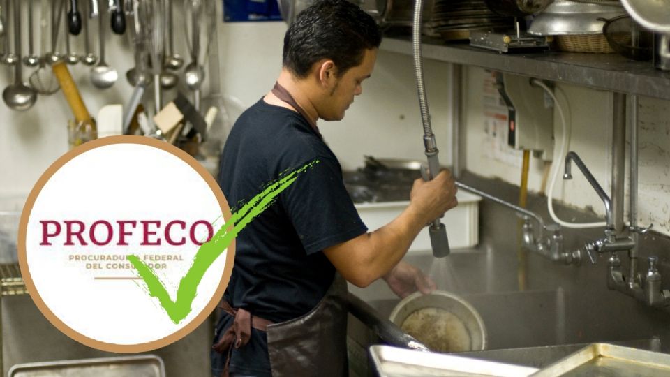 Este es el mejor jabón lavatrastes según PROCO