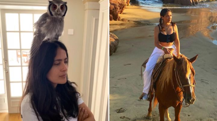 Salma Hayek presume sus excéntricas mascotas, ¿qué animales tiene en su casa?
