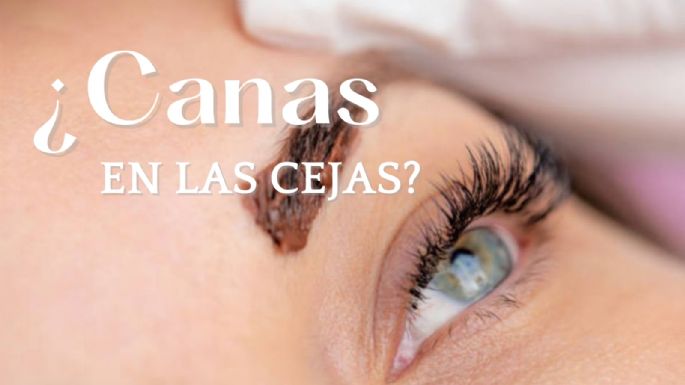 ¿Cómo ocultar las canas de las cejas? Sigue estos sencillos trucos