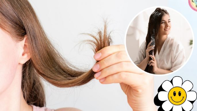 ¿Cómo se usa la vaselina en el cabello? Así puedes reparar las puntas abiertas