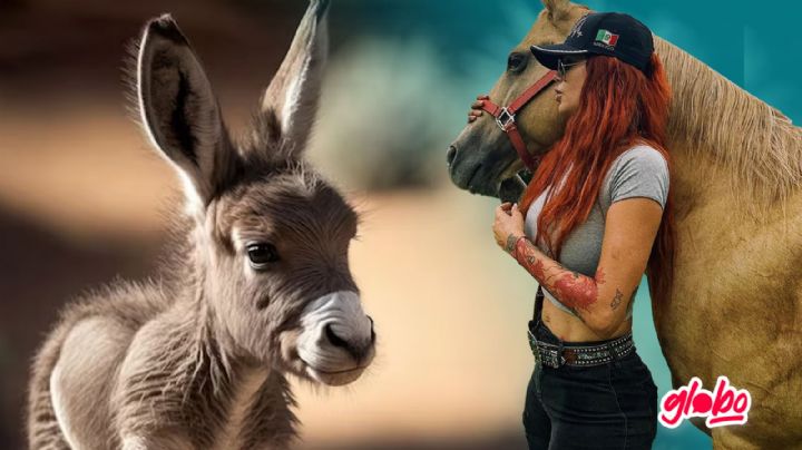 Elena Larrea: Nace el burrito que ella esperaba con emoción, llegó en plena primavera