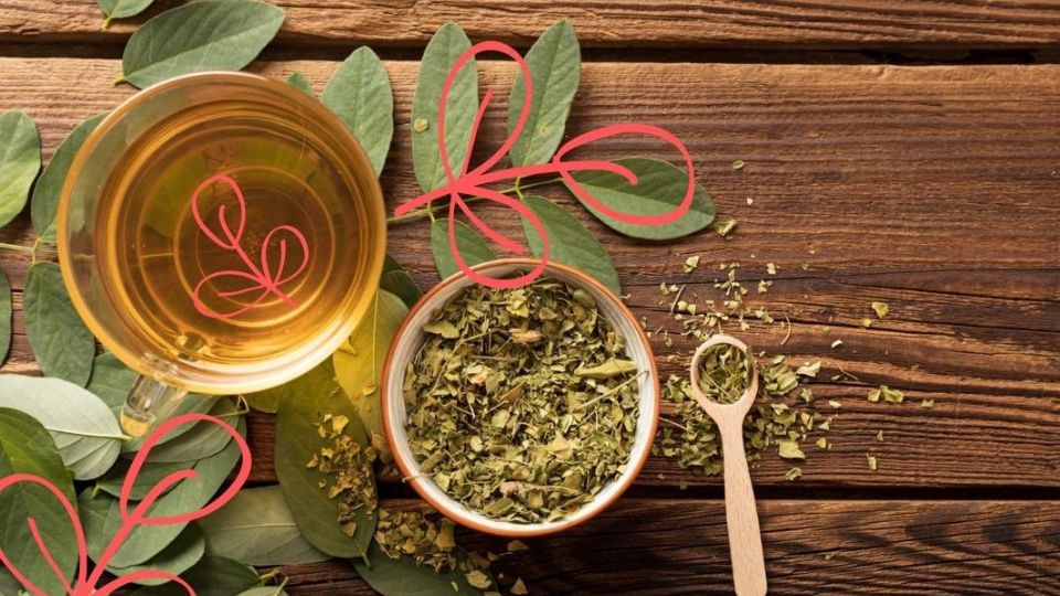 Estos son los beneficios del té de orégano para la salud.