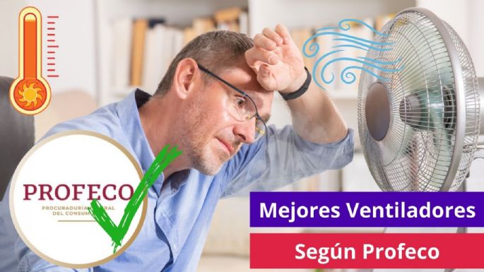 4 mejores ventiladores del mercado según Profeco, para sobrevivir al calor de primavera y verano