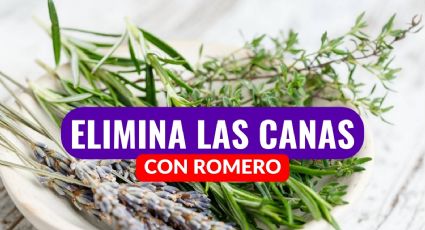 ¿Qué tan efectivo es el romero para las canas? Así puedes eliminarlas