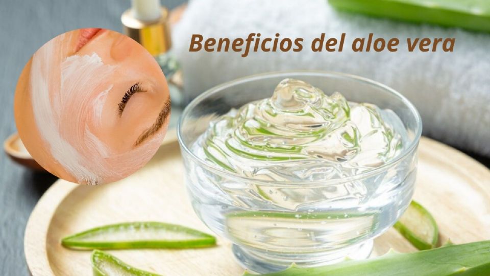 el aloe vera cuenta con múltiples beneficios.