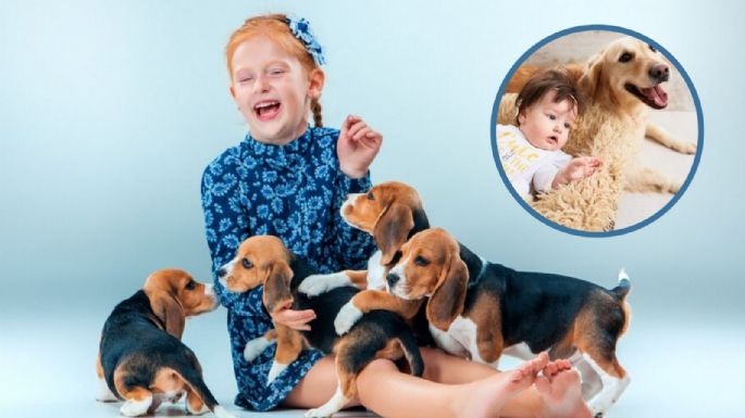 Estas son las mejores razas de perro si tienes hijos pequeños o vives con niños