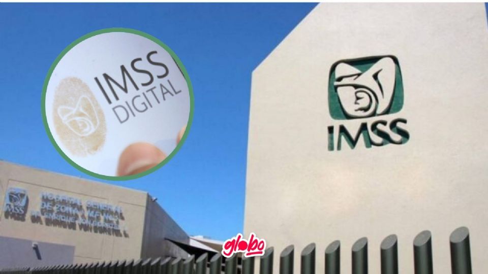 consulta la vigencia de derechos del IMSS.