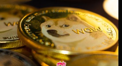 ¡Adiós a Kabosu! la perrita japonesa que se hizo viral por el meme de “Doge” e inspiró una criptomoneda