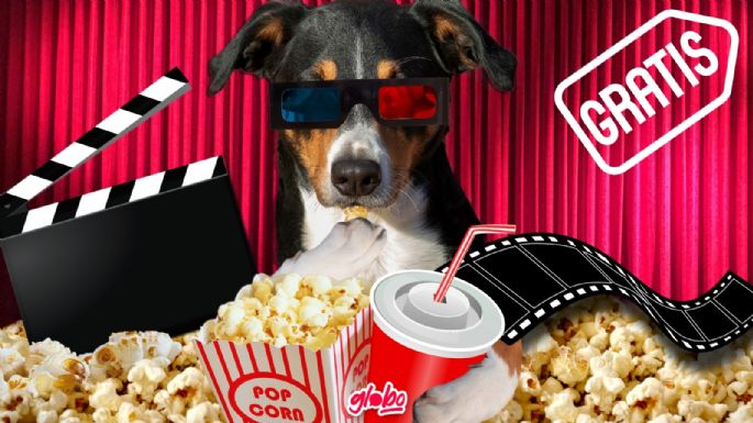 Elecciones 2024: Promociones en el cine para las personas que votaron | Palomitas y entradas GRATIS