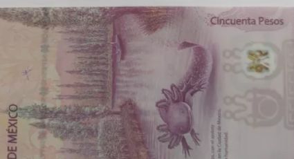 Este es el billete de 50 pesos con error que venden por la millonaria cifra de 4 millones de pesos