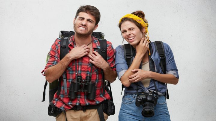 Fiebre Oropouche: ¿Qué es, por qué da y cuáles son sus síntomas?