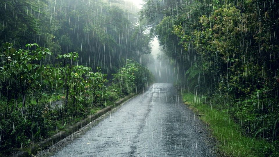 El Monzón Mexicano no solo trae alivio del calor, sino que también ofrece beneficios ecológicos significativos.