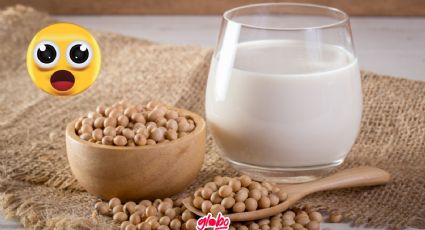 ¿Qué tan recomendable es tomar leche de soya? Estos son sus beneficios	