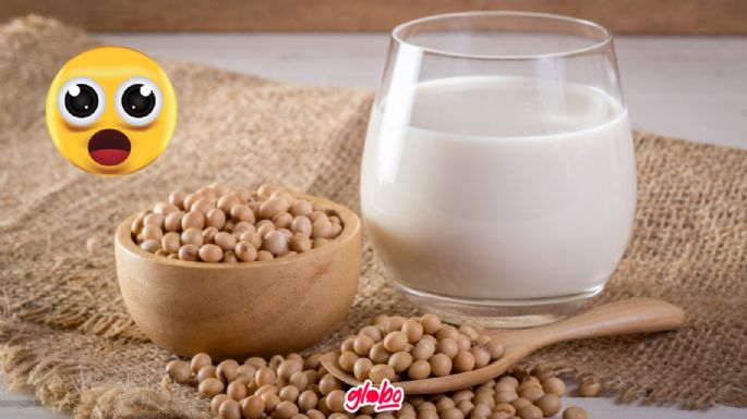 ¿Qué tan recomendable es tomar leche de soya? Estos son sus beneficios	