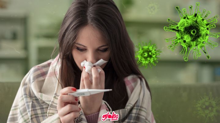 Virus H5N1: ¿Qué es, cuáles son sus síntomas y cómo se contagia?