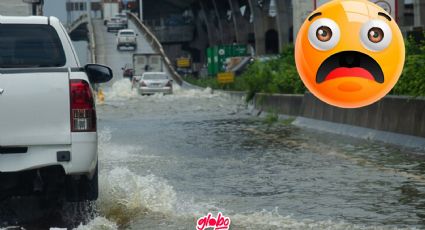 ¿Viene el Huracán Bud? Zona de Baja Presión sube probabilidad de ciclón en las próximas horas; sigue su trayectoria