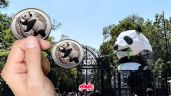 Foto ilustrativa de la nota titulada Dónde ir: Graba tus monedas con figuras de animales en el Zoológico de Chapultepec