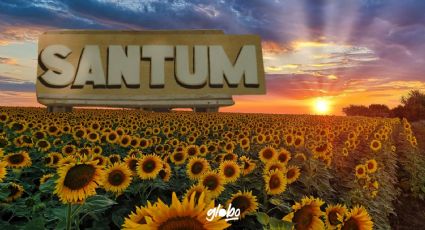 Visita "Santum" el Santuario de Girasoles: Dónde y cuándo