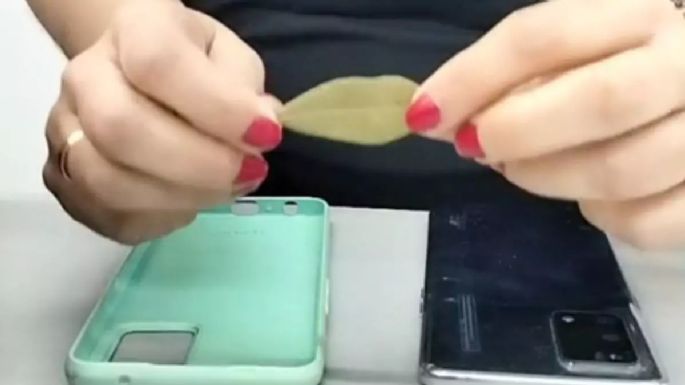 Aprende el trucazo de colocar una hoja de laurel en la carcasa de tu celular