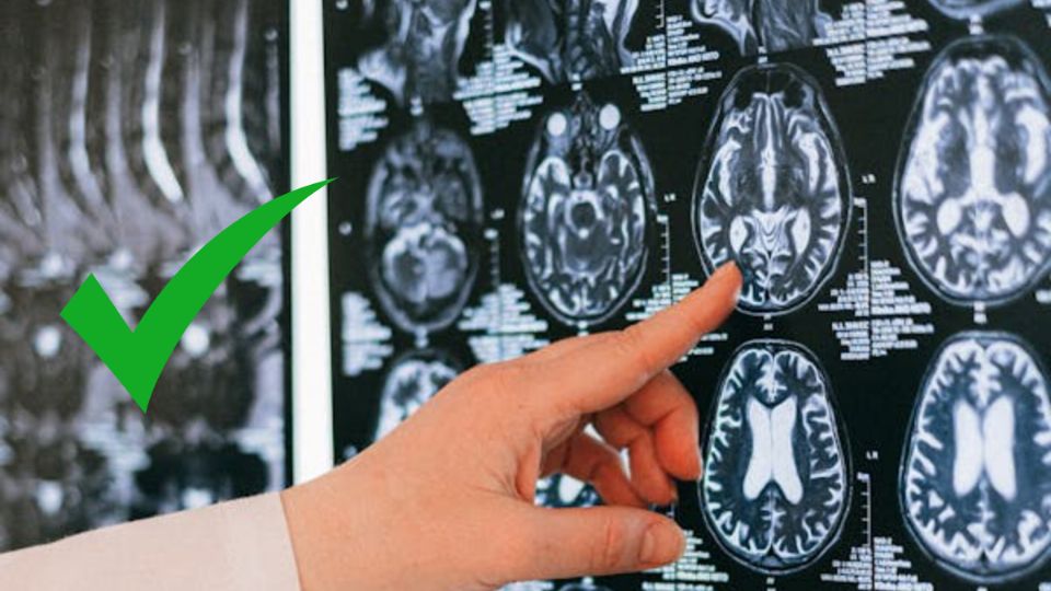 Así puedes entrenar tu cerebro para mantenerlo sano, según psicólogo europeo. Fuente: Foto: iStock / Producción FM Globo

