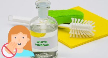 Cuáles son los lugares de tu casa que jamás debes limpiar con vinagre blanco