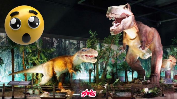 Exposiciones de dinosaurios CDMX: Cuándo, dónde y cuál es el precio de las actividades