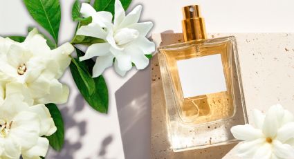 Estos son los mejores perfumes con gardenia para mujer más usados este 2024